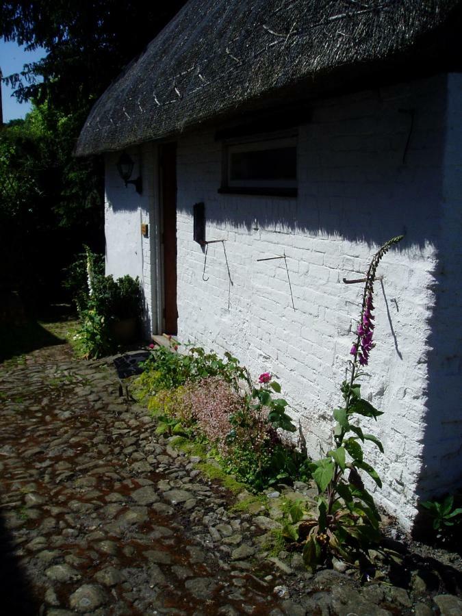Stable Cottage Devizes Exteriér fotografie